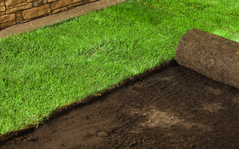 Sod Installation in Upper St. Clair, PA