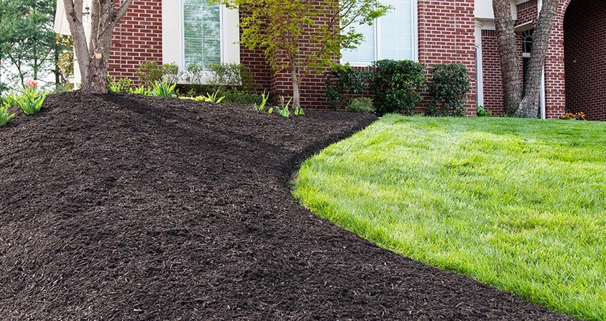 Mulch Installation in Abington project 2