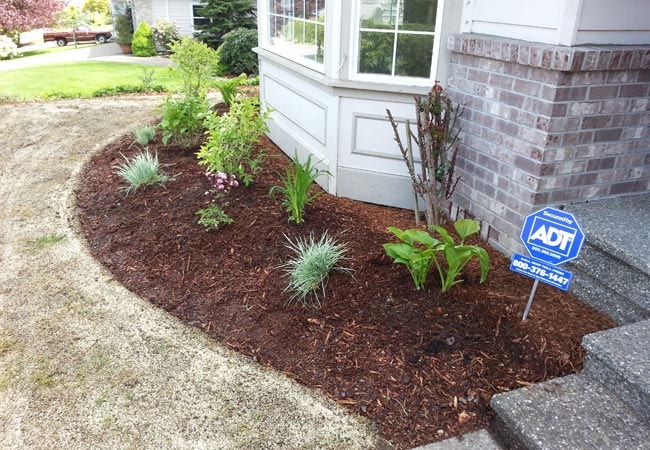 Mulch Installation in Abington project 3