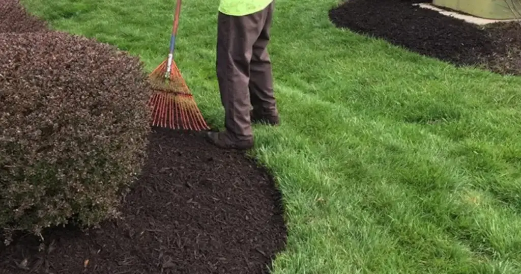 Mulch Installation in Abington project 7