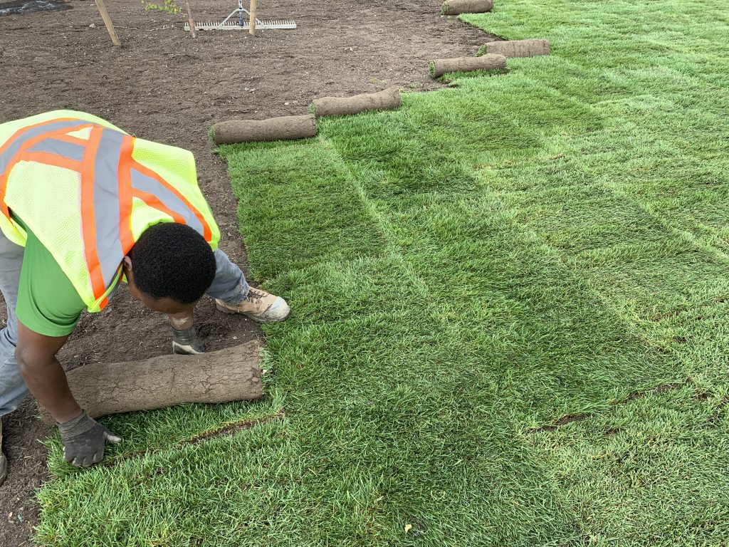 Sod Installation in Upper St. Clair project 2