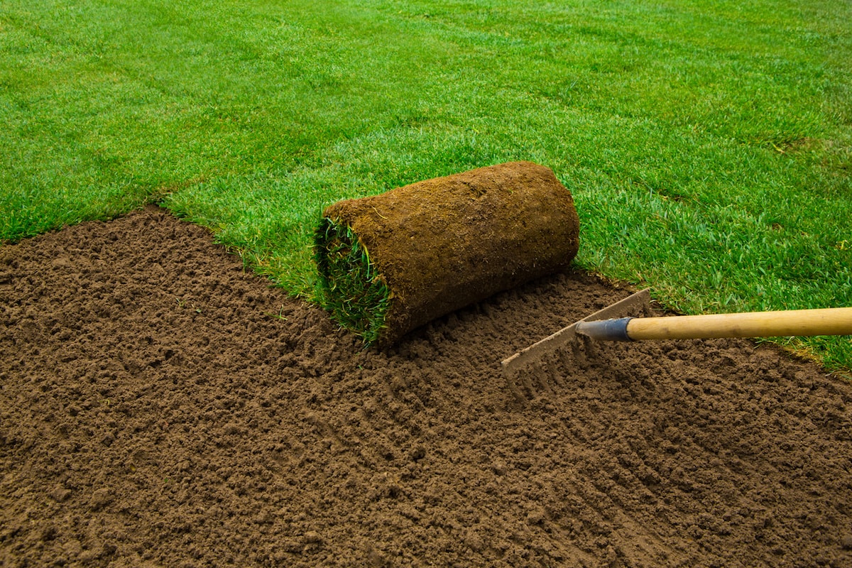 Sod Installation in Upper St. Clair project 3