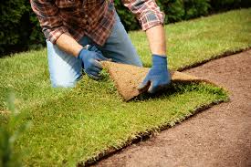 Sod Installation in Upper St. Clair project 4