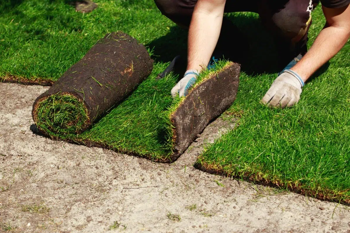 Sod Installation in Upper St. Clair project 5