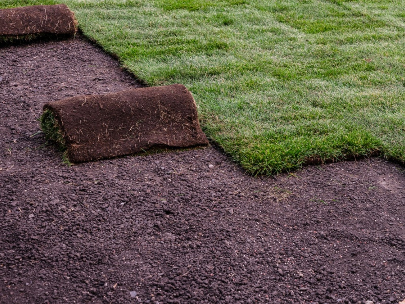 Sod Installation in Upper St. Clair project 6